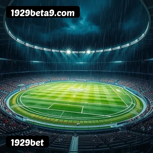 Recursos Exclusivos do App 1929bet - Modo Offline, Login Biométrico